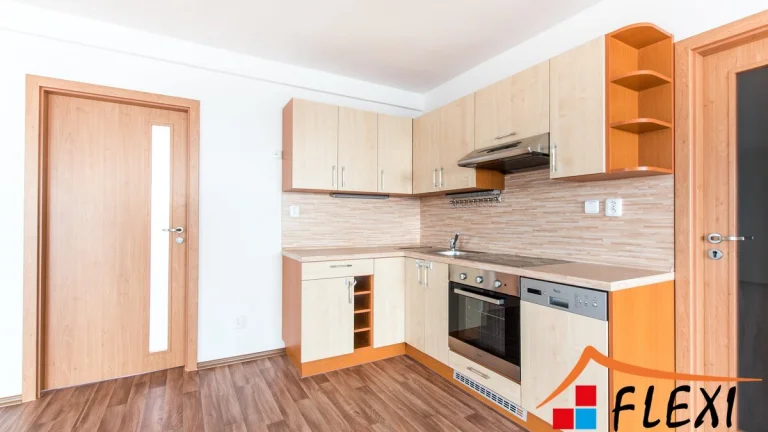 Pronájem velkometrážního bytu 4+kk s lodžiemi, 154 m2, Morav