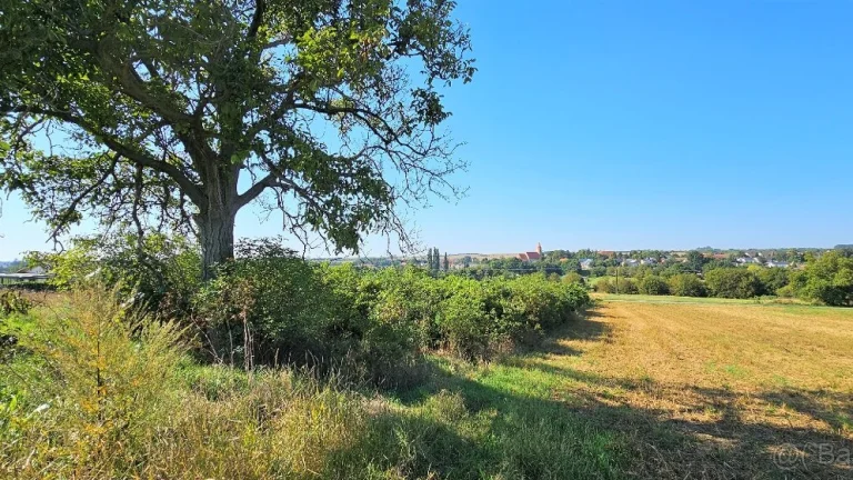 PNORF – rekreačný pozemok, 795 m2, Suchá nad Parnou