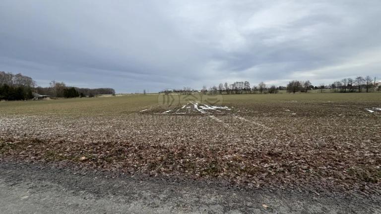 Prodej pole 6325 m², Petrovice u Karviné