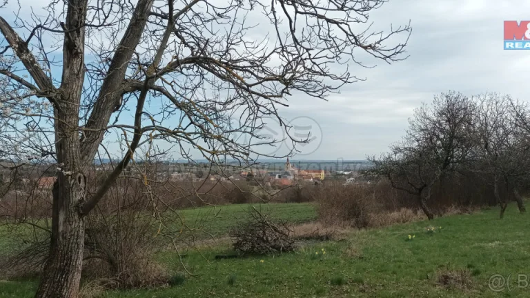 Prodej ovocného sadu, 912 m², Třebenice, ul. Třebenice