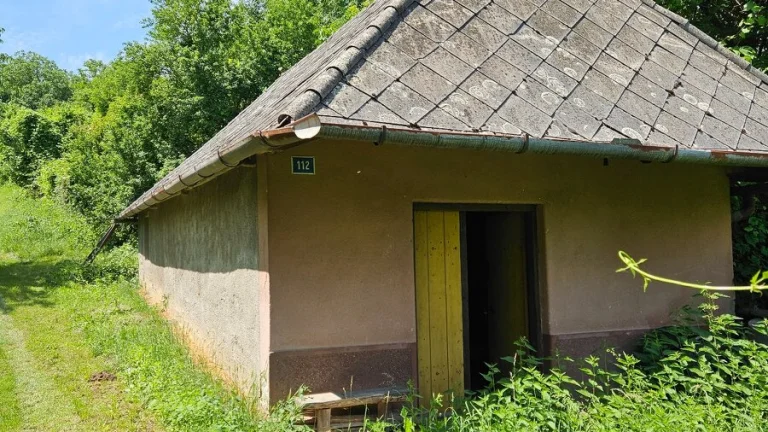 Predám viničný domček s vinicou a pozemkom