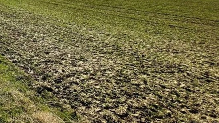 Na predaj pozemok o ploche 50 000 m2 (5 ha) 15 min. od NZ