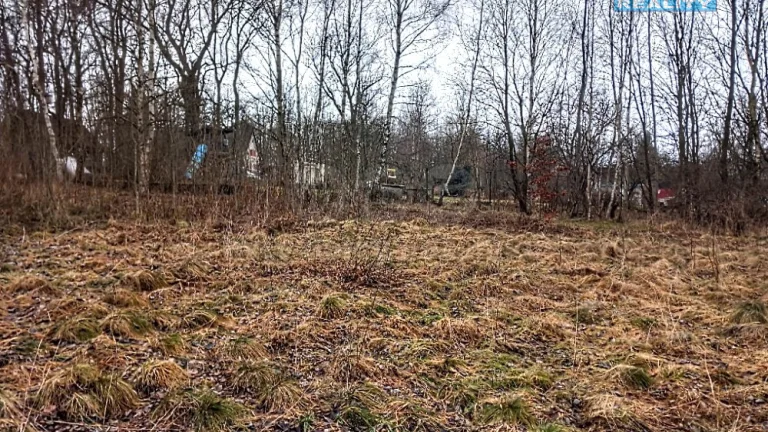 Prodej pozemku k bydlení v Staré Vodě, 2966 m2