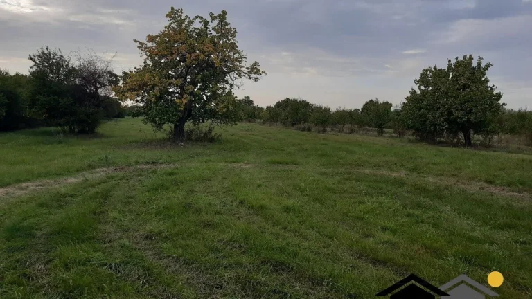 Svahovitý pozemok pod lesom