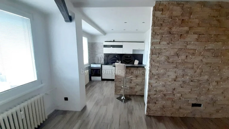 Prodej bytu 1+kk, 36 m², Bruntál, ul. K. H. Máchy