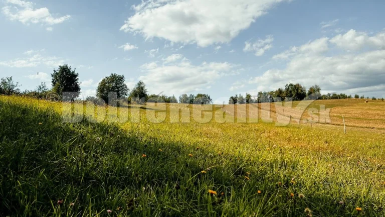 PREDAJ: Pozemok pre rodinný dom s výhľadmi, 4607 m2, Detvian