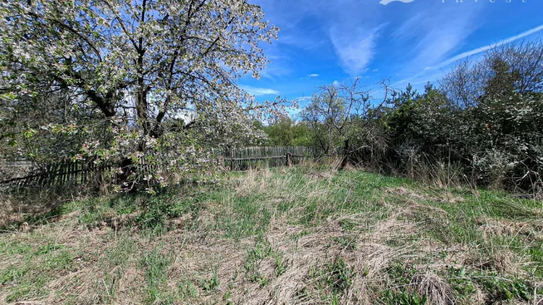 Prodej zahrada 671 m 2, Zálezly, Velemyšleves, okr. louny.