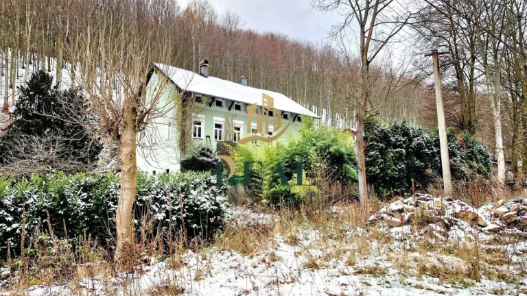 Prodej, rodinný dům, 2423 m2, Litvínov, ul. Hornická