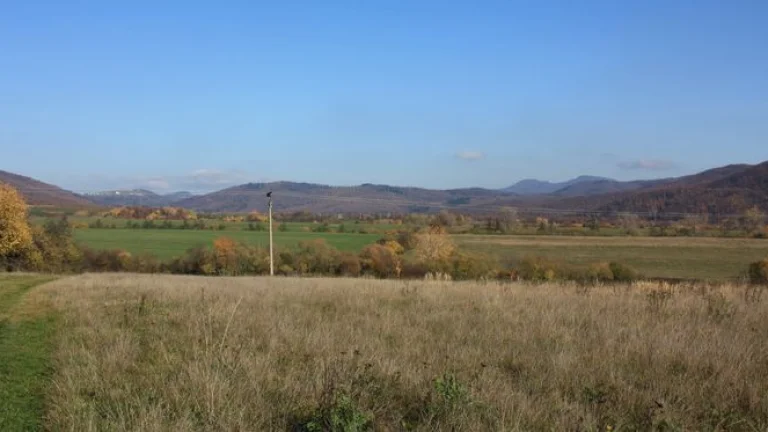 Pozemok(1138m2),v katastrál. úz. Pukanec -na predaj
