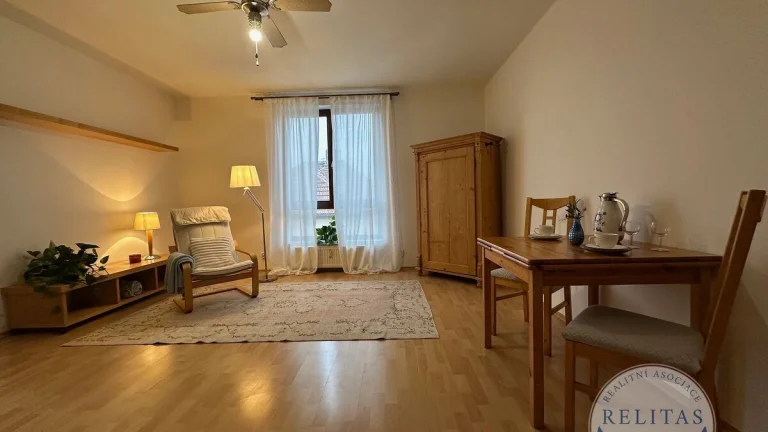 Pronájem bytu 1+kk 31 m²
