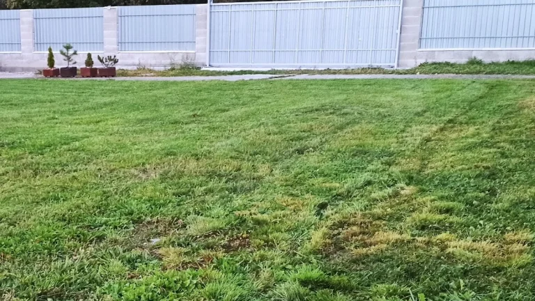 Prenájom pozemok 1120m2