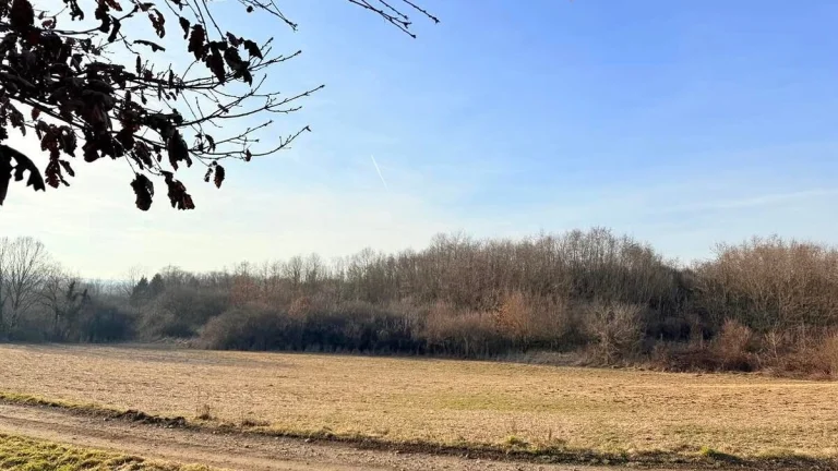 VINICA V LUKRATÍVNEJ OBLASTI - Vieska nad Žitavou, okres Zla