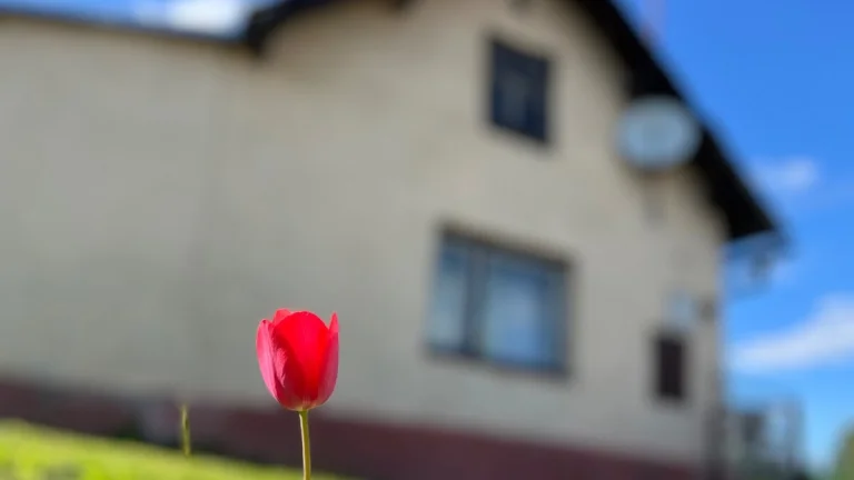 Prodej domu Radkov u Vítkova 443 m2