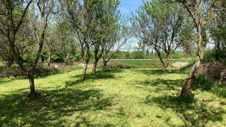 Pronájem zahrady 500 m2 – Olomouc – Řepčínské louky