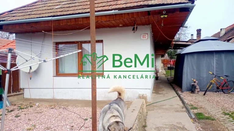 Predaj štvorizbového rodinného domu - Tekovské Lužany (043-1