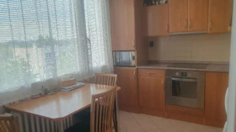 Prodej bytu 3+1 ve Skutči 68 m2