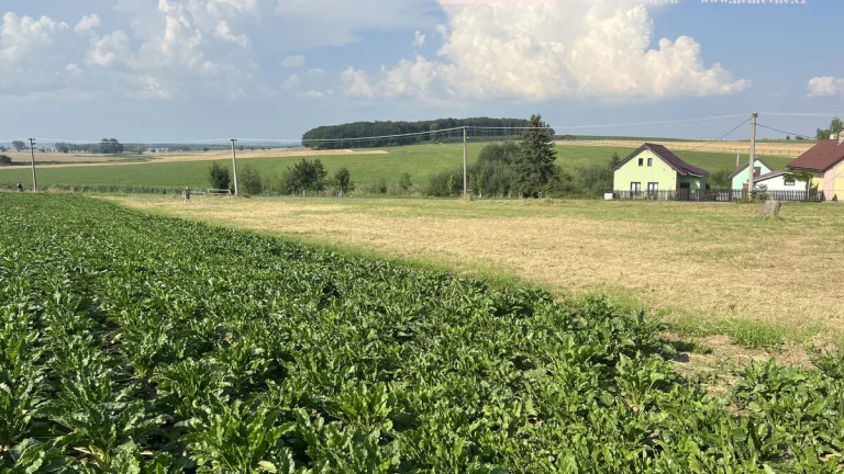 Exkluzivně nabízíme na prodej pozemek pro bydlení, 974 m2 -