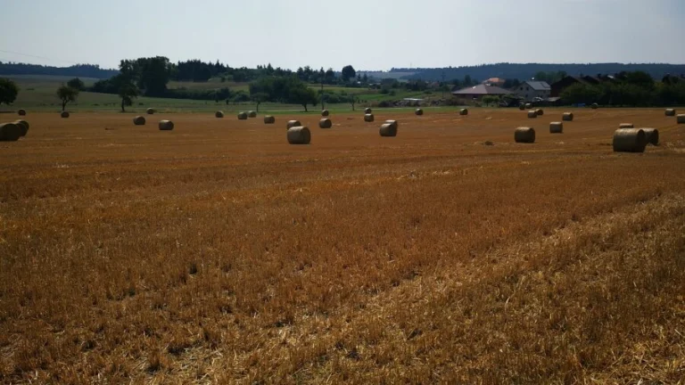 pozemek