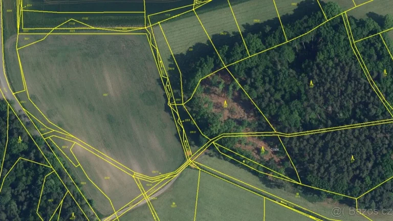 Lesní pozemek Mladá Boleslav