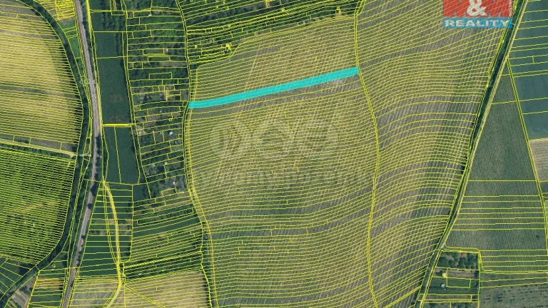 Prodej vinice, 1585 m², Bohuslavice u Kyjova