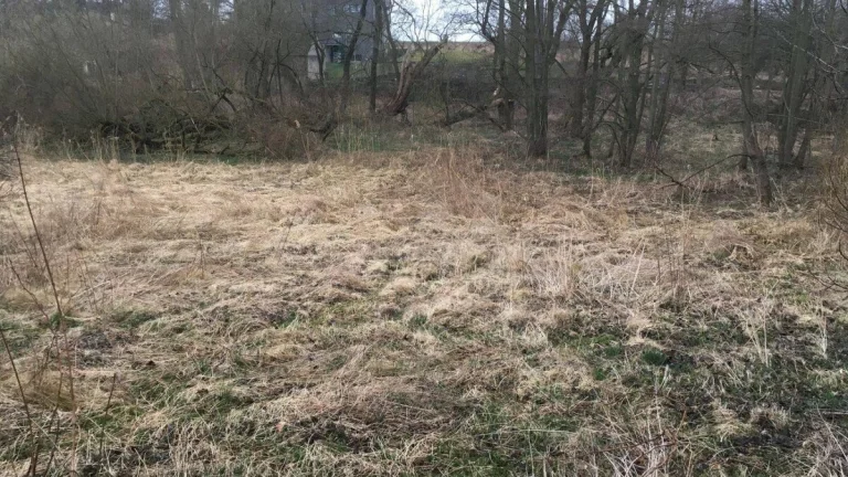 Prodej louky, 2968 m2, Dobřejovice, Praha-východ