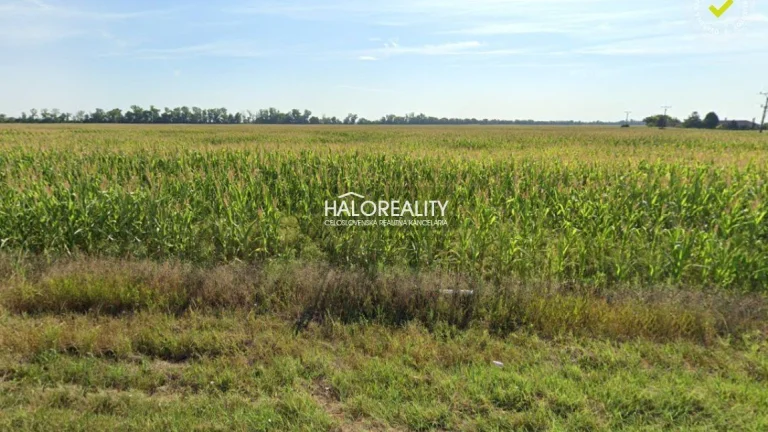 HALO reality - Predaj, pozemok 1005 m2 Kalinkovo