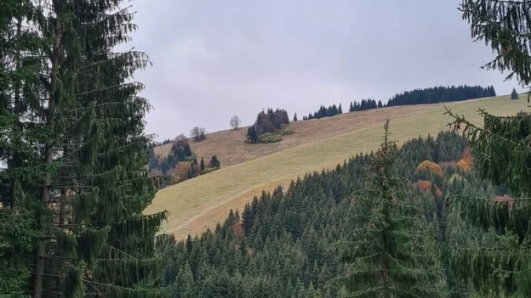 STAVEBNÝ POZEMOK - KÚSOK OD LYŽIARSKEHO STREDISKA