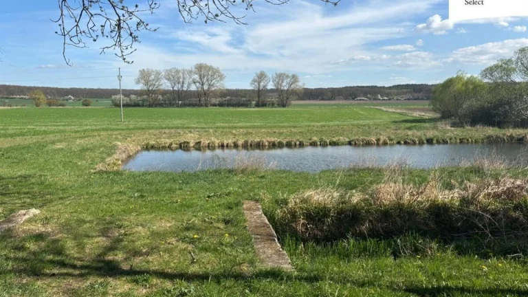 Prodej chalupy 90 m2, Libáň