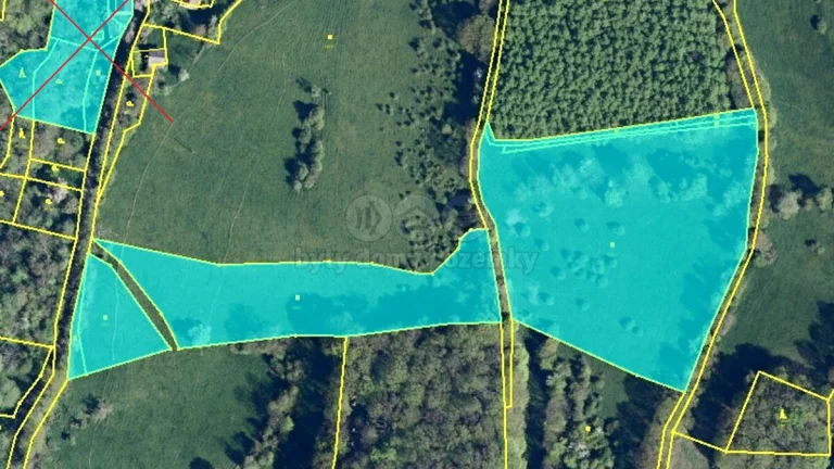 Prodej louky, 21830 m², Malšovice - Hliněná