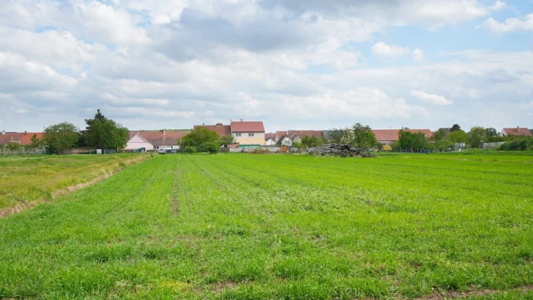 Brod nad Dyjí - pozemek 2.647 m2 - pozemek