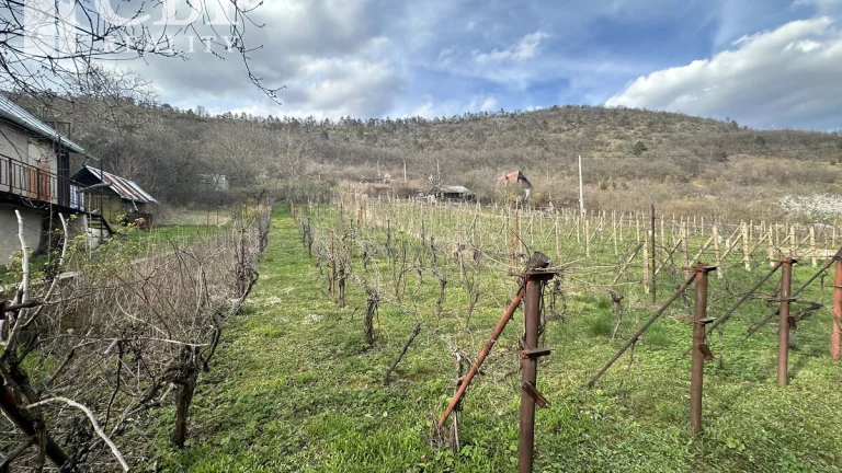 ZNÍŽENÁ CENA - Záhradná chatka s vinicou v obci Hrušov