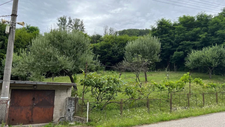 Slnečný stavebný pozemok pri lese, s garážou a pivnicou