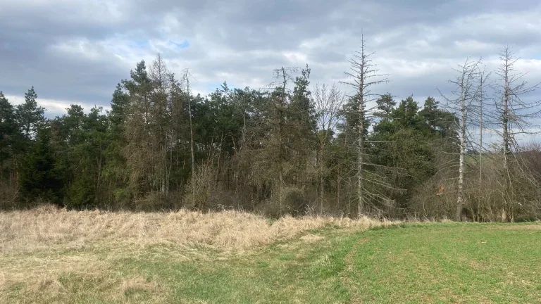 Lesní pozemek Pozďátky