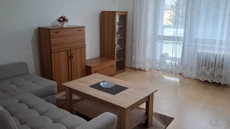 Prenájmem 1-izbový byt