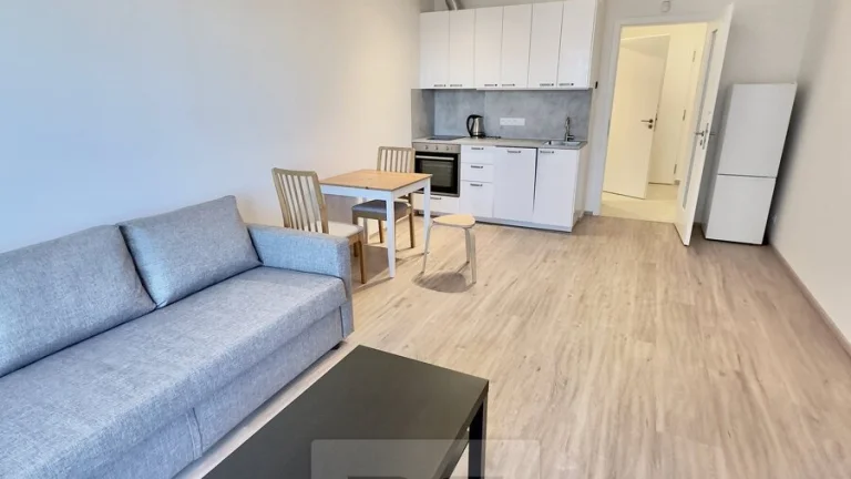 Pronájem bytu 1+kk, 33 m2 s garážovým stáním v ceně