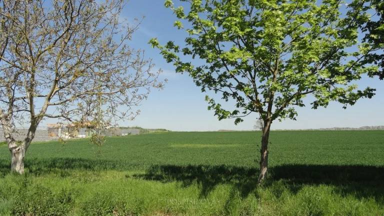 Prodej pozemků pro komerční výstavbu, 12 268 m2 - Úhonice