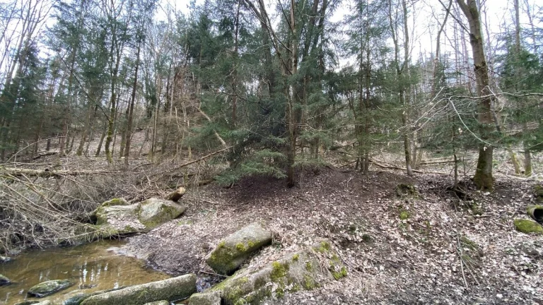 Pozemek ostatní plocha Pozďátky