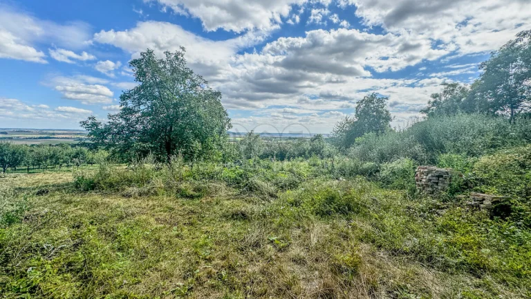 Prodej zahrady, 3500 m², Třebenice