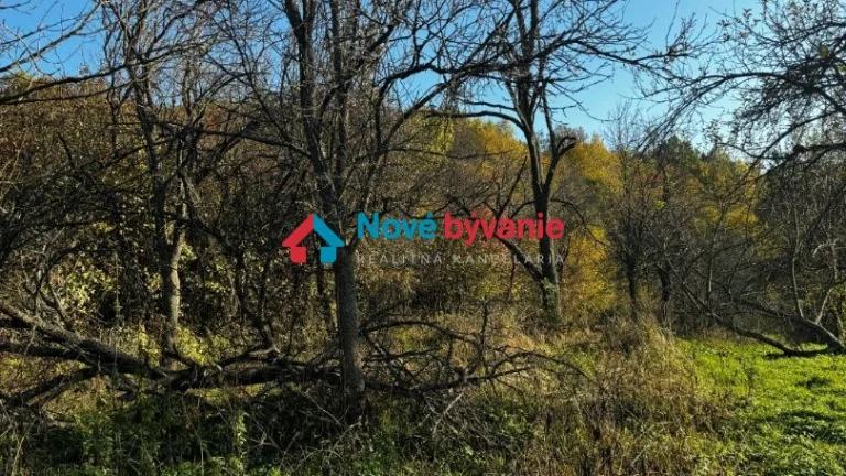 Predaj ornej pôdy – 617 m² (výlučné vlastníctvo)