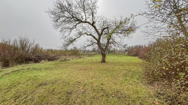 Prodej pole, 468 m², Třebenice