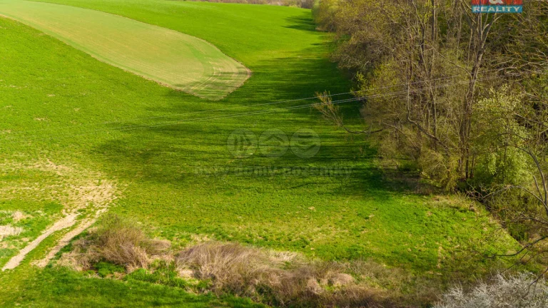 Prodej pole, 4100 m², Bílá Lhota