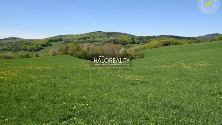 HALO reality - Predaj, rekreačný pozemok Malá Lehota - ZNÍŽE