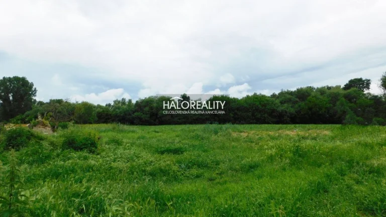 HALO reality - Predaj, pozemok pre rodinný dom 5063 m2 Pat