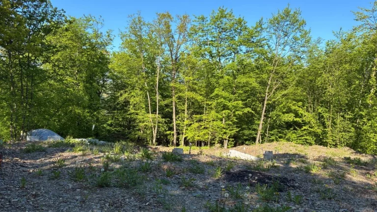 Prodej stavebního pozemku Hradištko pod Medníkem, 1477 m2