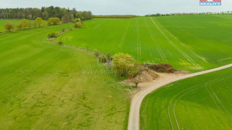 Prodej louky, 730 m², Olešnice