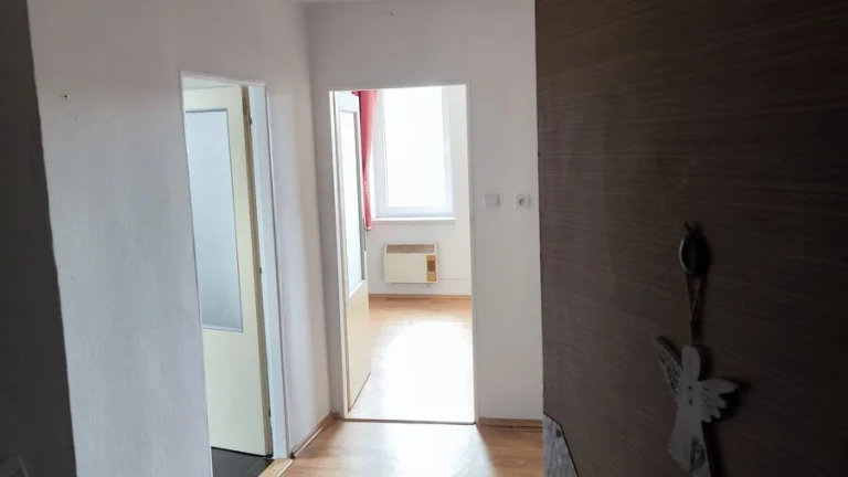 Byt 2+1 pronájem