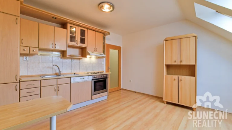 Pronájem bytu 1+1, 42 m², Staré Město - Brněnská
