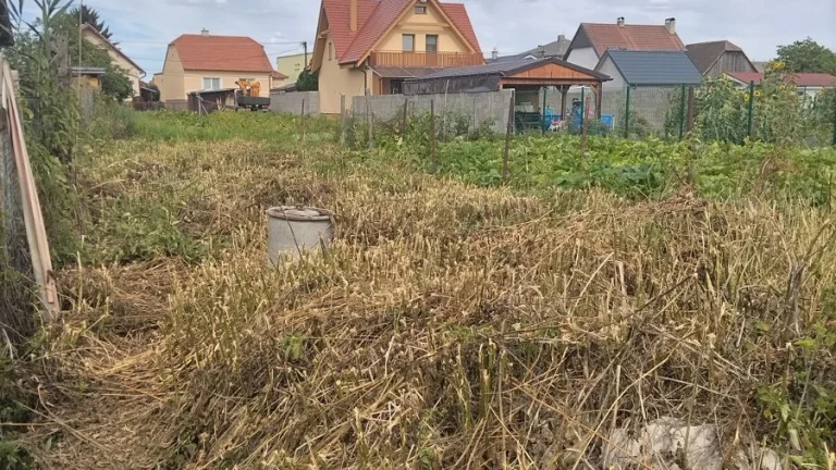 ZÁHRADA, ZÁVOD