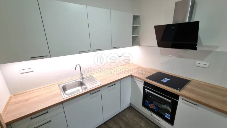 Pronájem bytu 1+1, 60 m², Ostrava, ul. Jindřichova