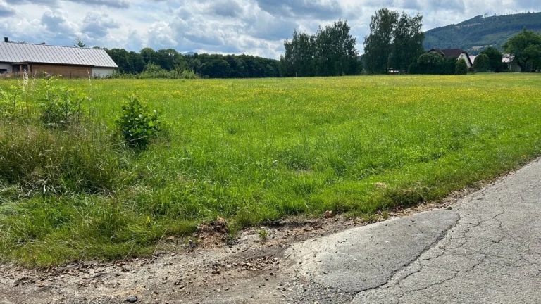 Prodej stavebního pozemku 2736m2 Frýdlant nad Ostravicí